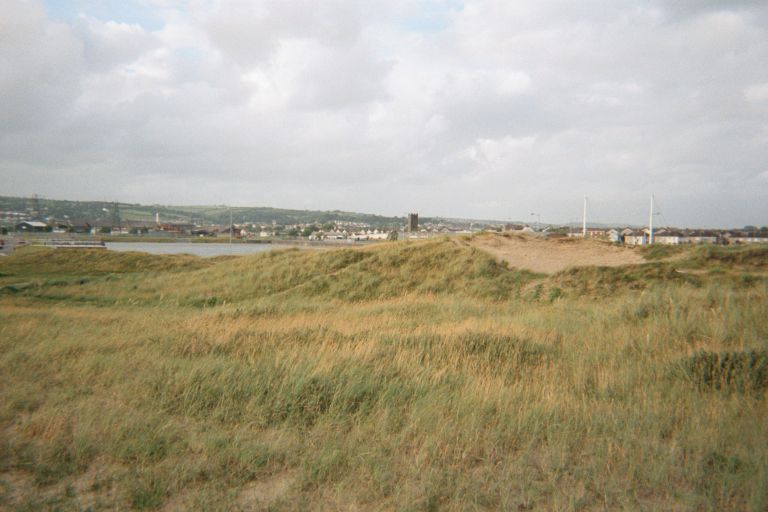
There was a nice grassy area near the beach area.  You can see lots of
the town in the background.
